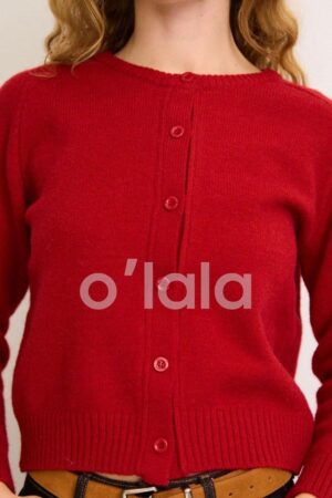 קרדיגן מיקה